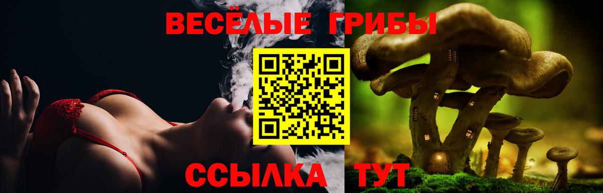 купить наркотики сайты  Псилоцибиновые грибы MAGIC MUSHROOMS  Вход с VPN  Кузнецк 